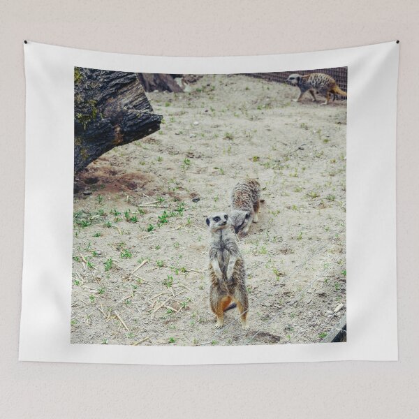 Item preview, Meerkats designed and sold by SzendeB.