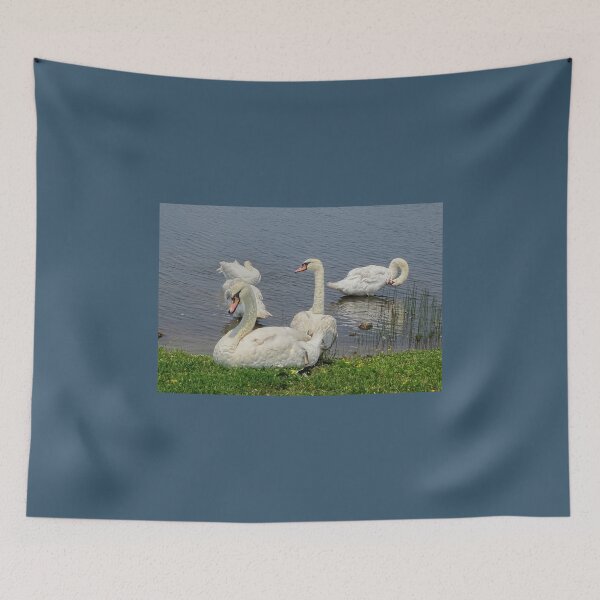 Item preview, Swan's Day Out designed and sold by Lynney.