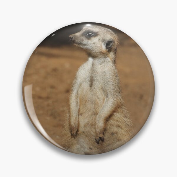 Item preview, Meerkat 076 designed and sold by JAMFoto.