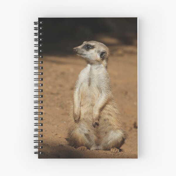 Item preview, Meerkat 076 designed and sold by JAMFoto.