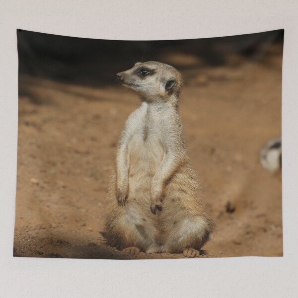 Item preview, Meerkat 076 designed and sold by JAMFoto.