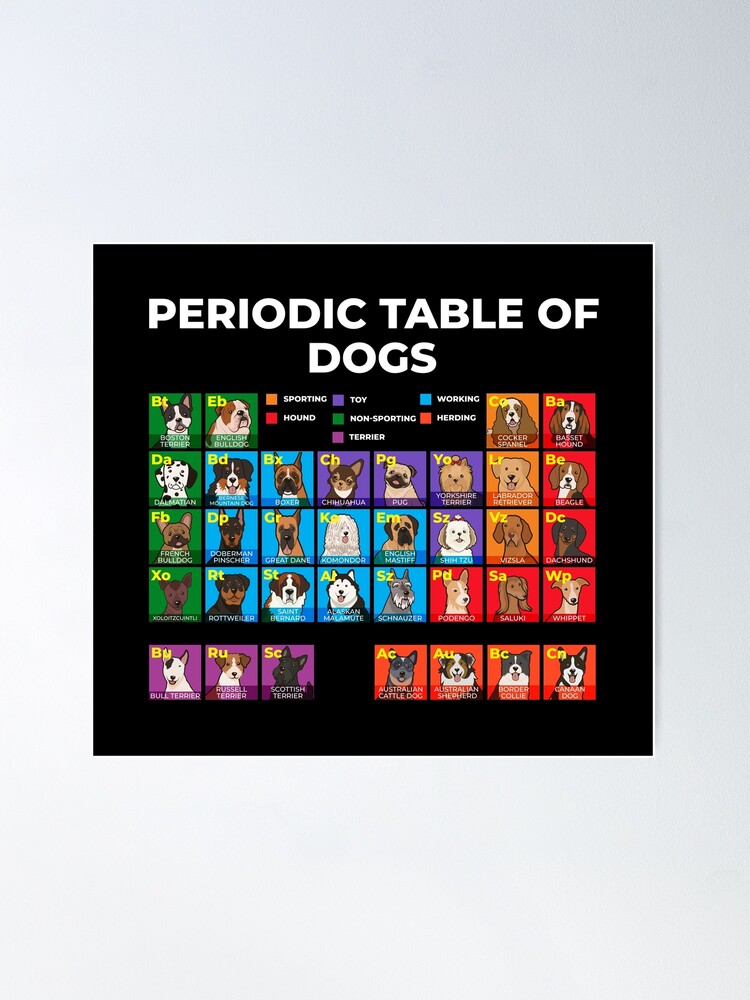 Thumbnail 1 of 3, Poster, Periodic Table of Dogs, Dog Lover, Funny Science designed and sold by CreativeFit.