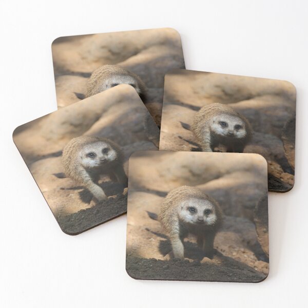 Item preview, Meerkat 078 designed and sold by JAMFoto.