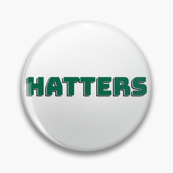 Item preview, Stetson University Hatters designed and sold by kkosmicki.