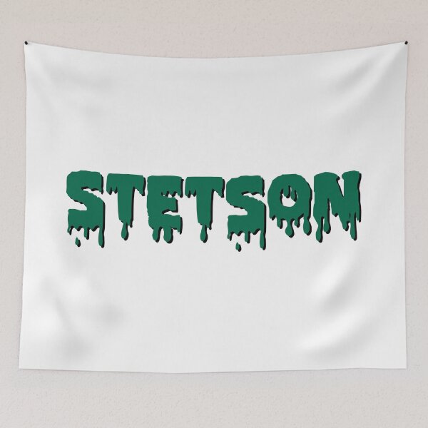 Item preview, Stetson University designed and sold by kkosmicki.