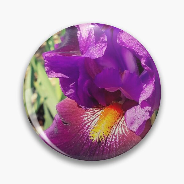Artikelvorschau, tiefviolette Iris entworfen und verkauft von brandiewine.