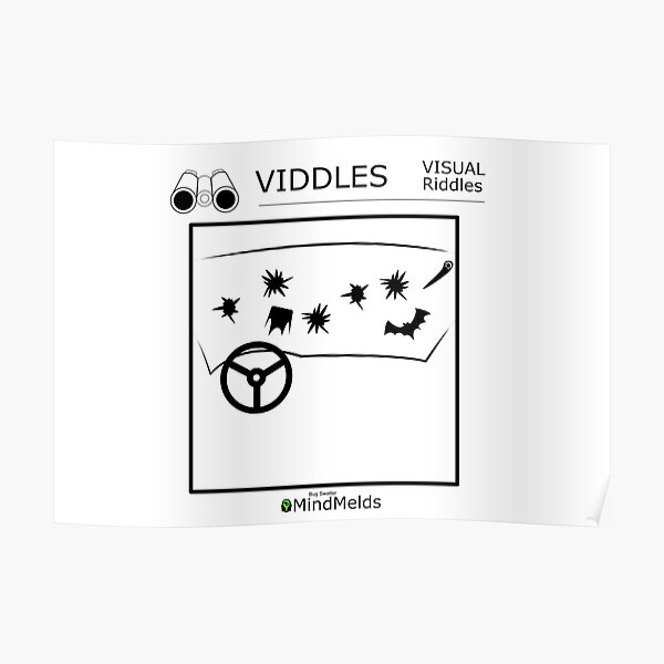 The Viddles Series - Bug Swatter Poster
