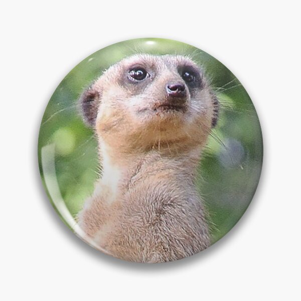 Item preview, Meerkat 079 designed and sold by JAMFoto.