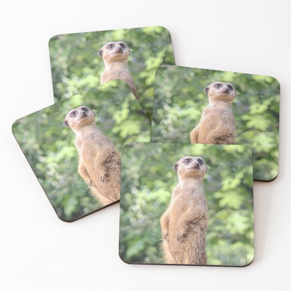 Item preview, Meerkat 079 designed and sold by JAMFoto.