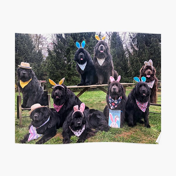 Easter 2020 Poster