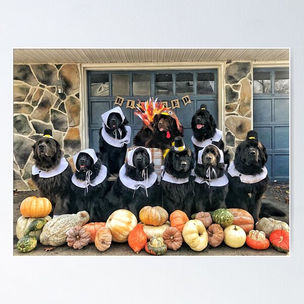 The Thanksgiving Feast 2019 Poster