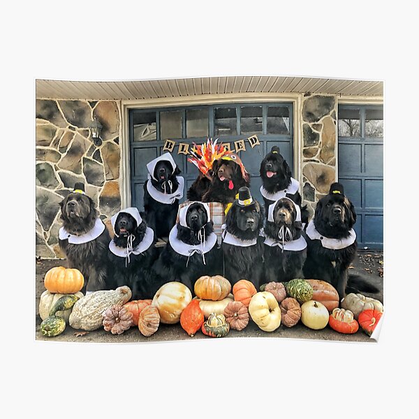 The Thanksgiving Feast 2019 Poster