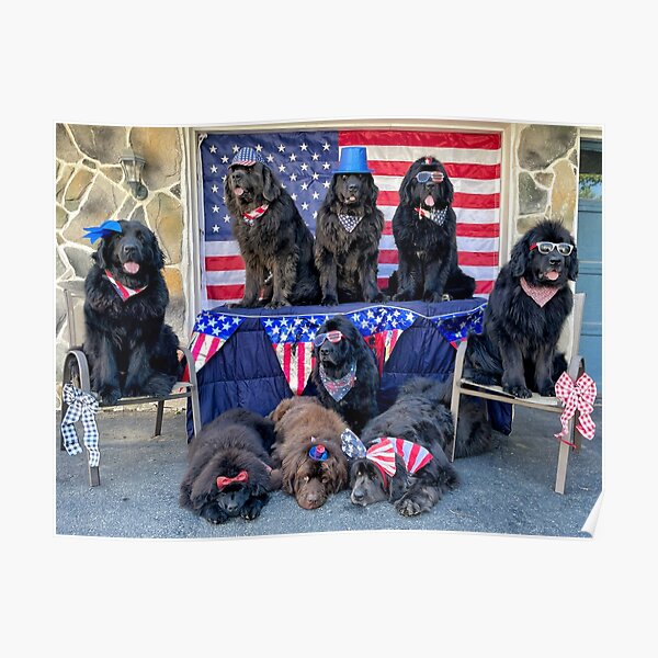 4th of July 2021 Poster