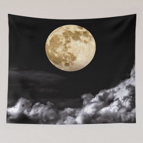 Item preview,  Tapestries,Tapestry,throw blankets,comforters,duvet covers ,shower curtains, Moon art,Moonlight,moon art,moon prints designed and sold by eyesight4vision.