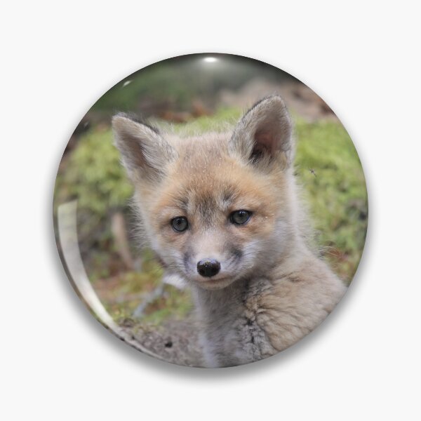 Item preview, Red Fox Kit designed and sold by mlorenz.