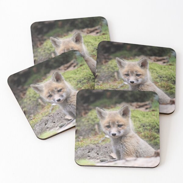 Item preview, Red Fox Kit designed and sold by mlorenz.