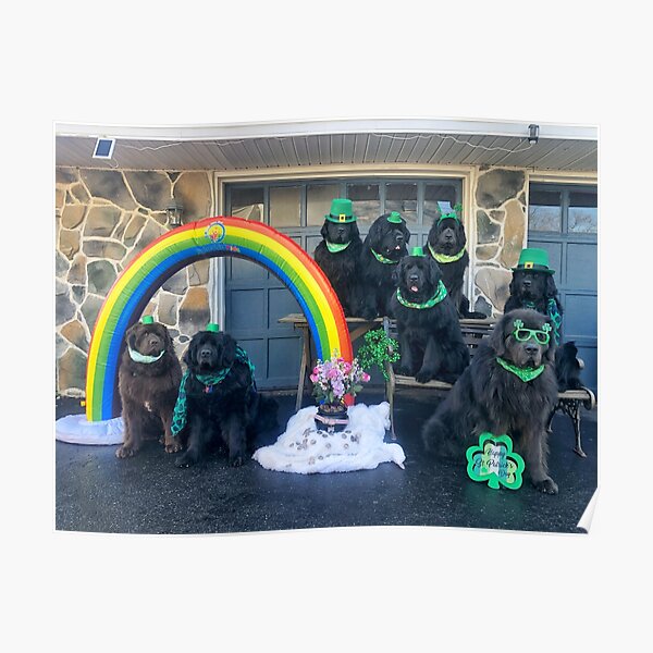 St Patrick's Day 2021 Poster