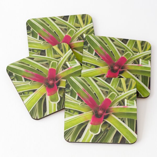 Item preview, Biltmore 53 designed and sold by rebeccaholbrook.