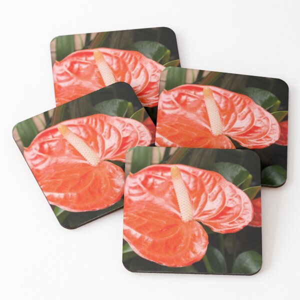 Item preview, Biltmore 56 designed and sold by rebeccaholbrook.