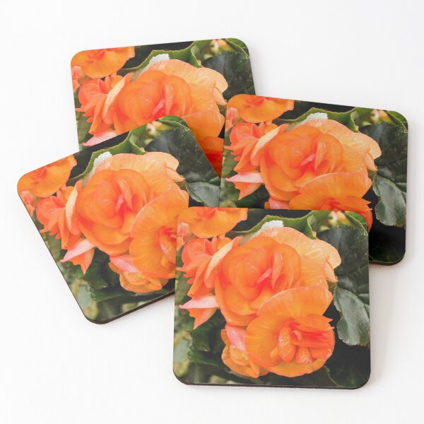 Item preview, Biltmore 57 designed and sold by rebeccaholbrook.