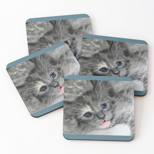 Item preview, Ragdoll Mainecoon kitten designed and sold by Fluffycat2020.