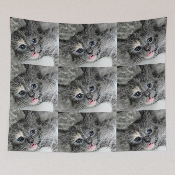 Item preview, Ragdoll Mainecoon kitten designed and sold by Fluffycat2020.