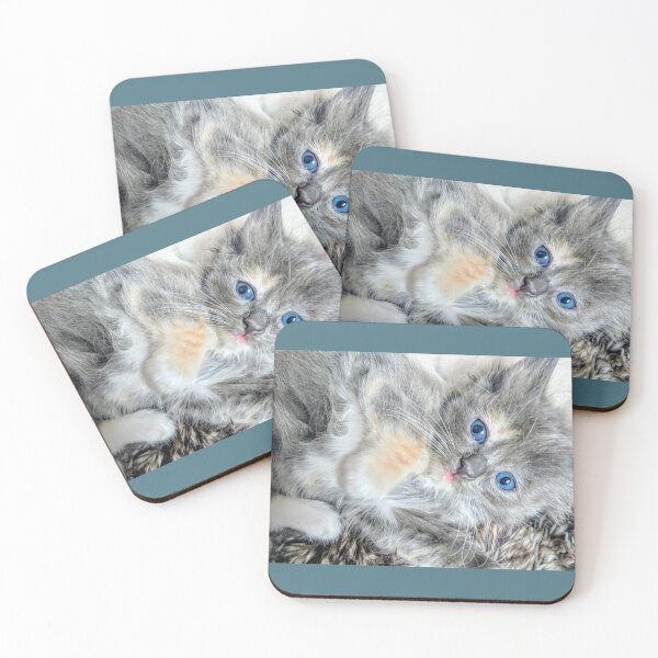 Item preview, Ragdoll Mainecoon kitten designed and sold by Fluffycat2020.