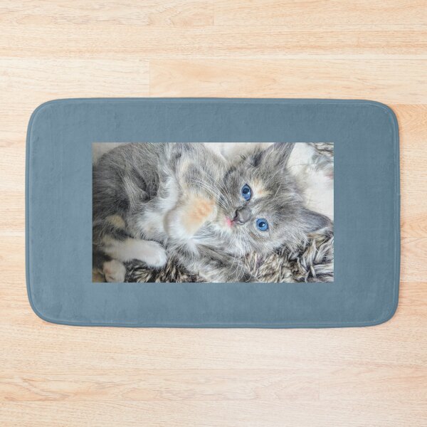 Item preview, Ragdoll Mainecoon kitten designed and sold by Fluffycat2020.