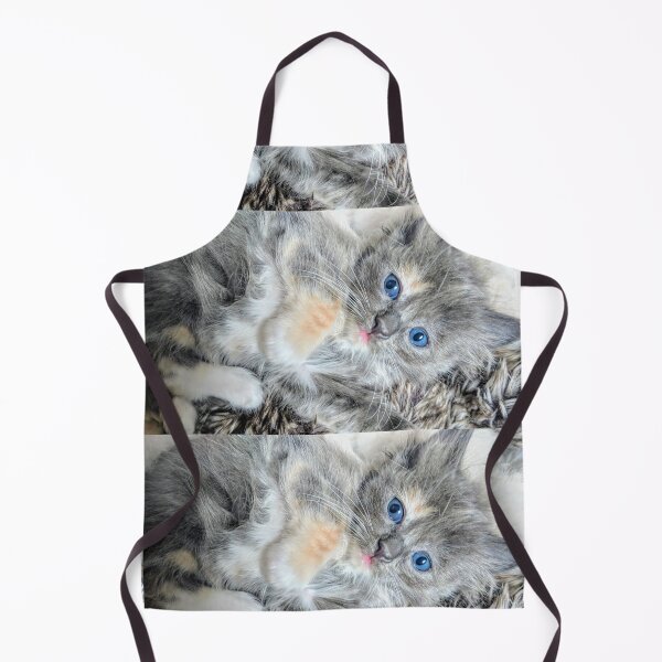 Item preview, Ragdoll Mainecoon kitten designed and sold by Fluffycat2020.