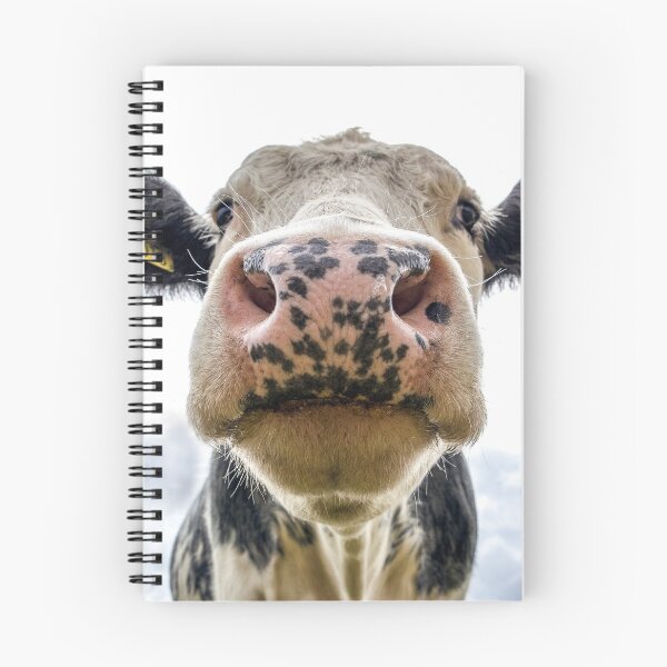 Item preview, Cow Appreciation Post designed and sold by TheWonkyKing.