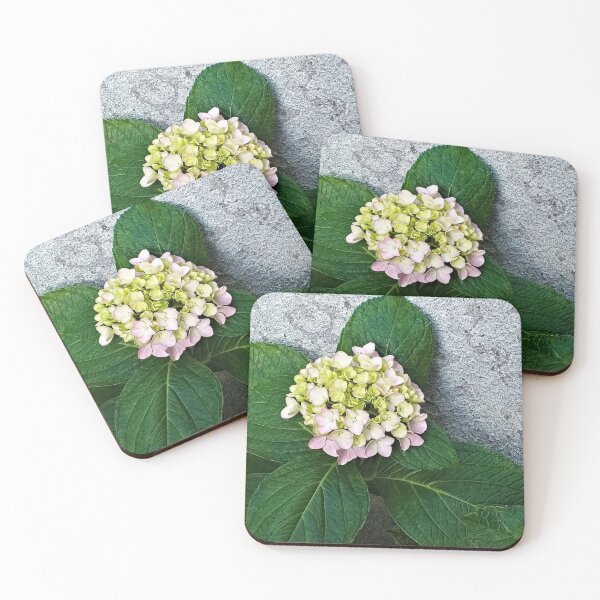 Item preview, Hydrangea Flower Flowering Garden Plant designed and sold by Anna Lemos.