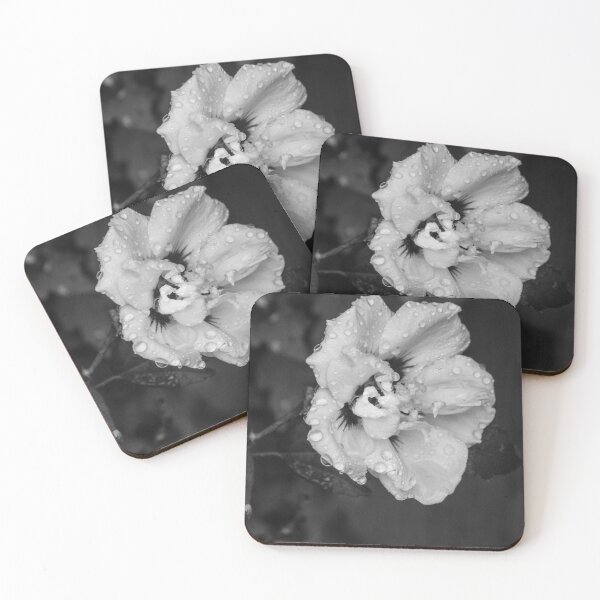 Item preview, Bloom in B&W designed and sold by Fizlogo.