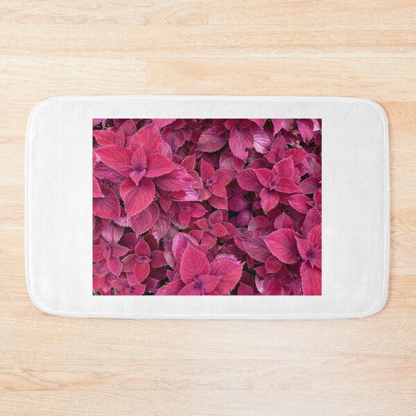 Item preview, Red coleus leaves designed and sold by JV.