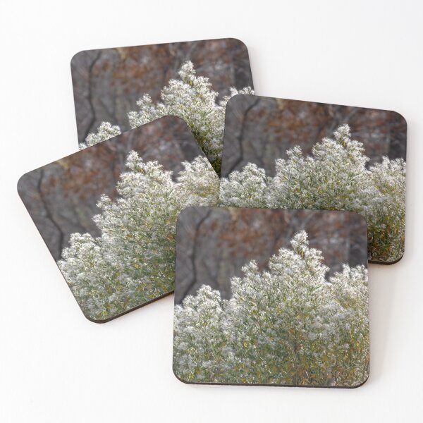 Item preview, Fall Blooms designed and sold by Fizlogo.