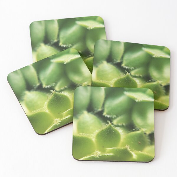 Item preview, Macro Succulent designed and sold by MyMacro_Photography (MyMacro).