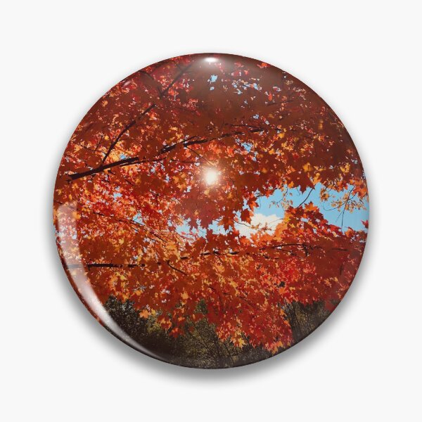 Item preview, Fall Colors Maple Red Orange Leaves Trees Blue Sky Sun Sunlight Shining Through Autumn  designed and sold by HppyStrngHelthy.