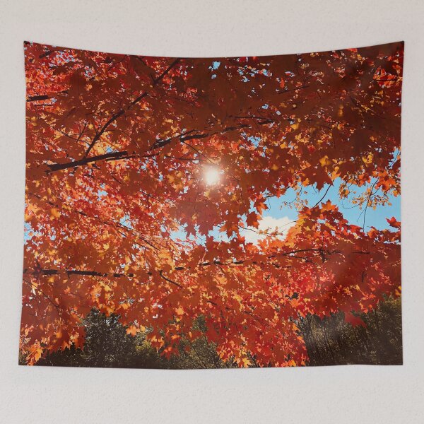 Item preview, Fall Colors Maple Red Orange Leaves Trees Blue Sky Sun Sunlight Shining Through Autumn  designed and sold by HppyStrngHelthy.