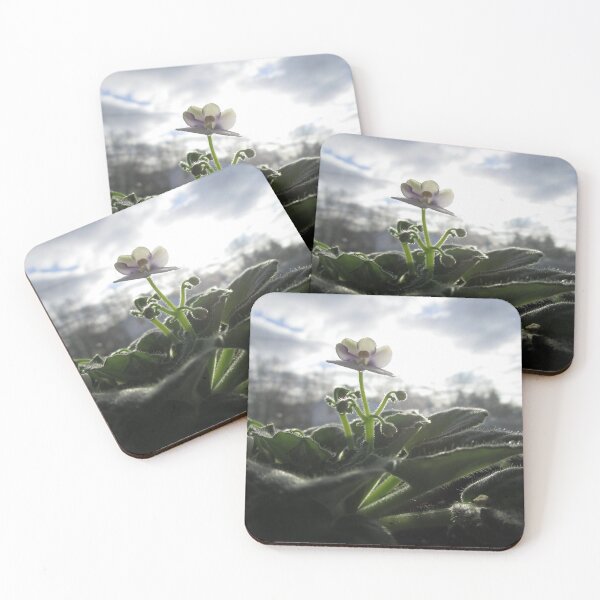 Item preview, growing takes time designed and sold by laurenolivia76.