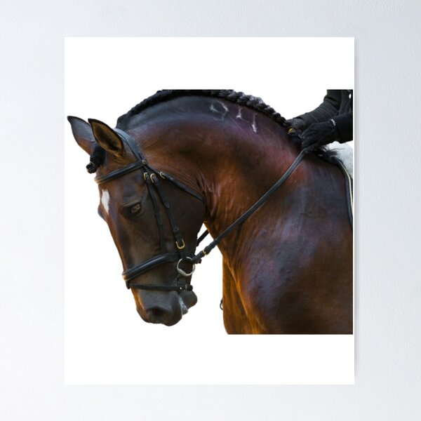 Item preview, Horses are our friends  designed and sold by creativeknow.