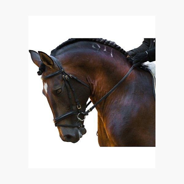 Item preview, Horses are our friends  designed and sold by creativeknow.
