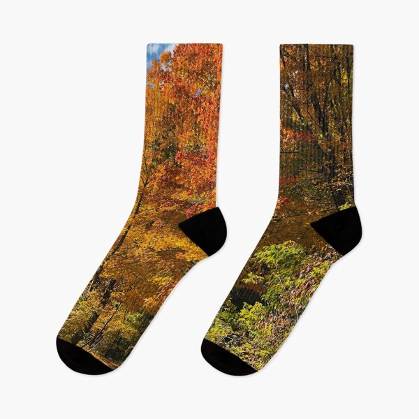 Item preview, Fall Colors Maple Red Orange Yellow Leaves Trees Forest Blue Sky White Clouds Autumn  designed and sold by HppyStrngHelthy.