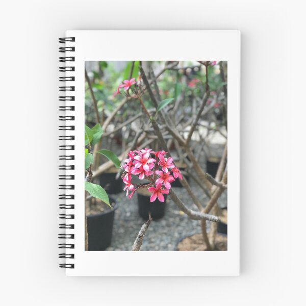 Item preview, BUNCH OF BEAUTY designed and sold by iAmmAja43.