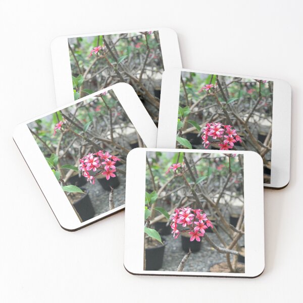 Item preview, BUNCH OF BEAUTY designed and sold by iAmmAja43.