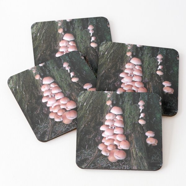 Item preview, Mushrooms Everywhere! Fall Life in the Forest in Bieszczady, Poland designed and sold by Purrfecta.