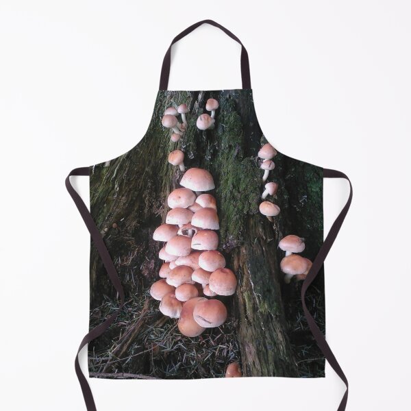 Item preview, Mushrooms Everywhere! Fall Life in the Forest in Bieszczady, Poland designed and sold by Purrfecta.