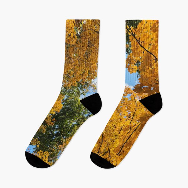 Item preview, Fall Colors Maple Red Orange Yellow Leaves Trees Blue Sky White Clouds Autumn  designed and sold by HppyStrngHelthy.