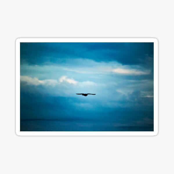 Item preview,  Sky Clouds Solitary Seagull Bird Flying designed and sold by Anna Lemos.