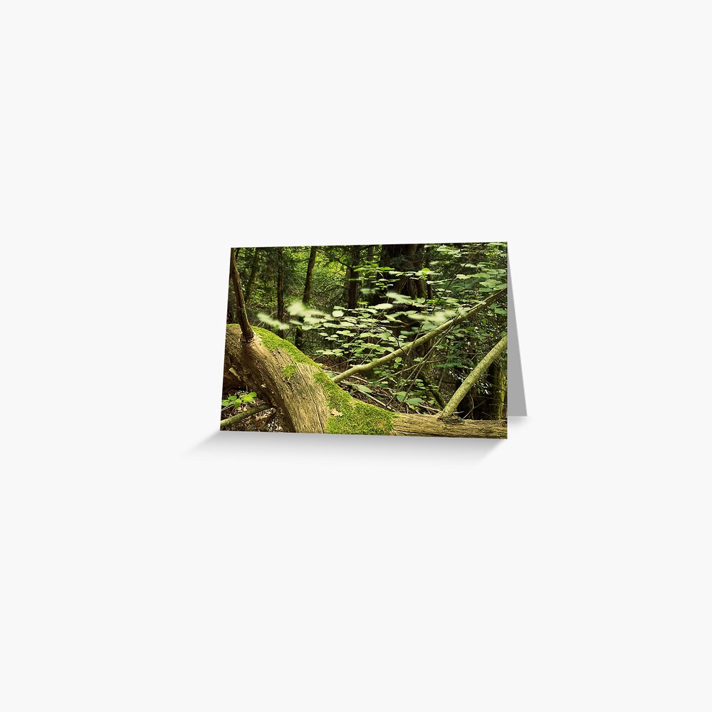 Item preview, Greeting Card designed and sold by patmo.