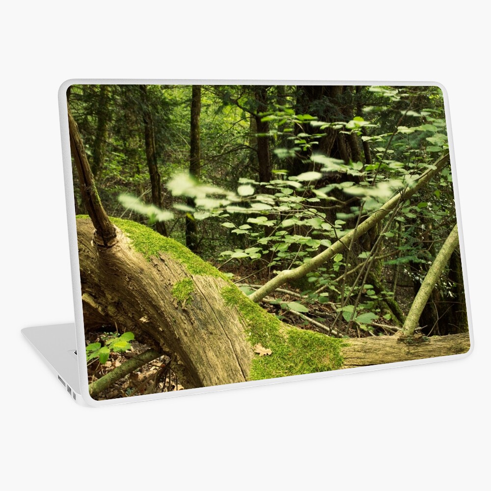 Item preview, Laptop Skin designed and sold by patmo.