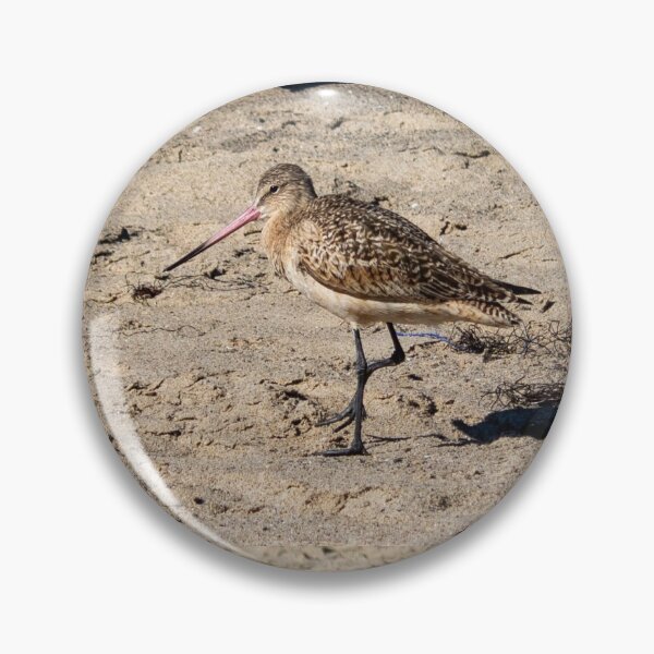 Item preview, Sand Piper designed and sold by Fizlogo.